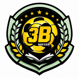 3B SOCCER